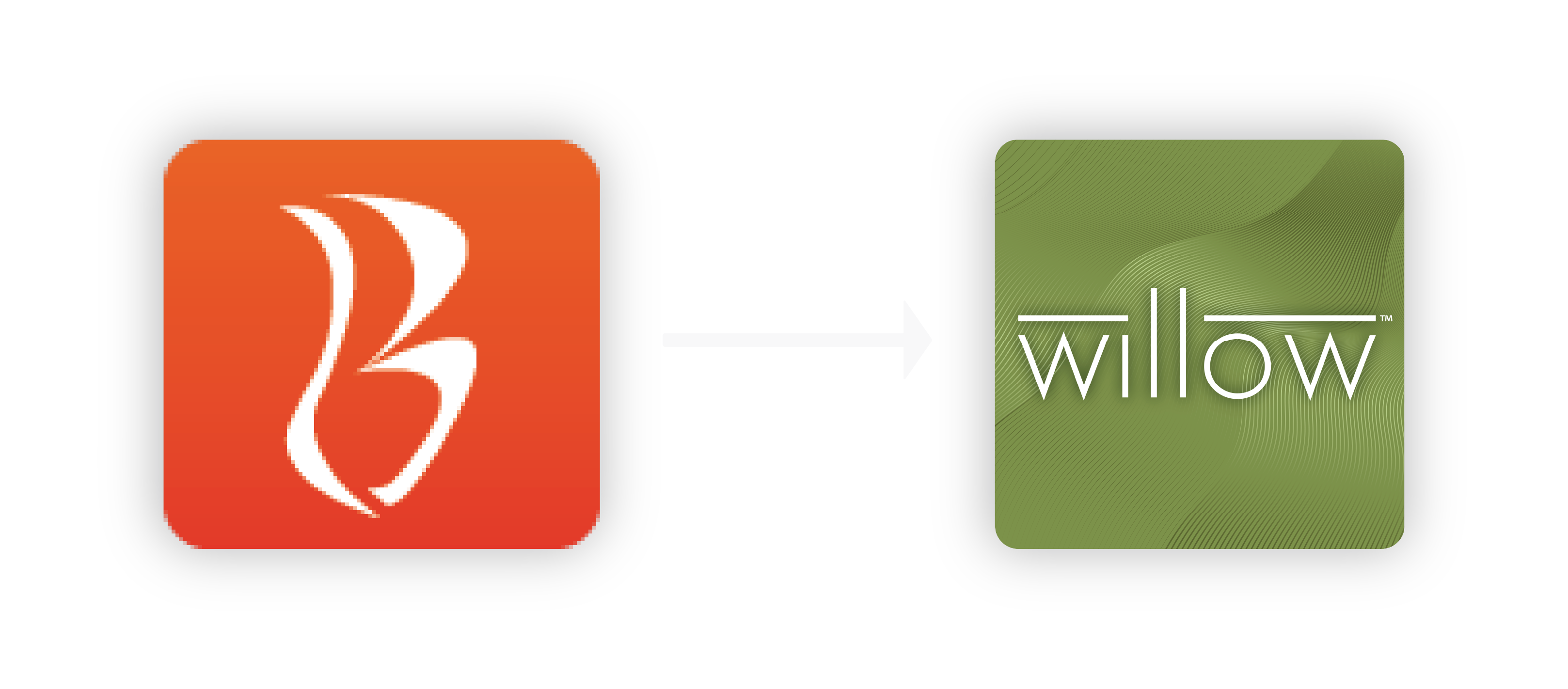 Blaze and Willow App Icon